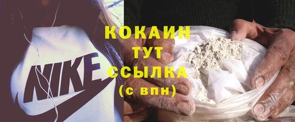 твердый Абаза