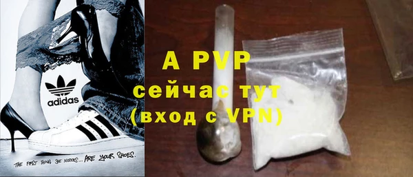 твердый Абаза