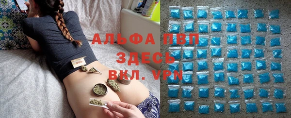 твердый Абаза