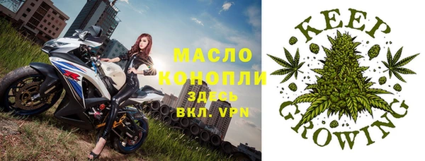 твердый Абаза