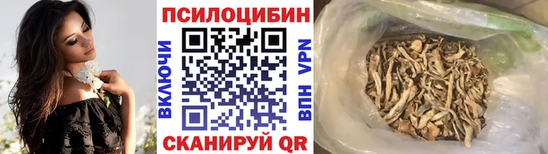 наркотики  Ачхой-Мартан  Псилоцибиновые грибы Cubensis 